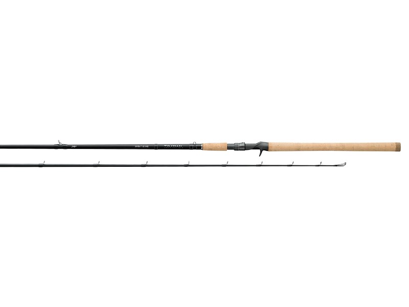 Diawa Kade premium Bass Rod 6'1 1pc