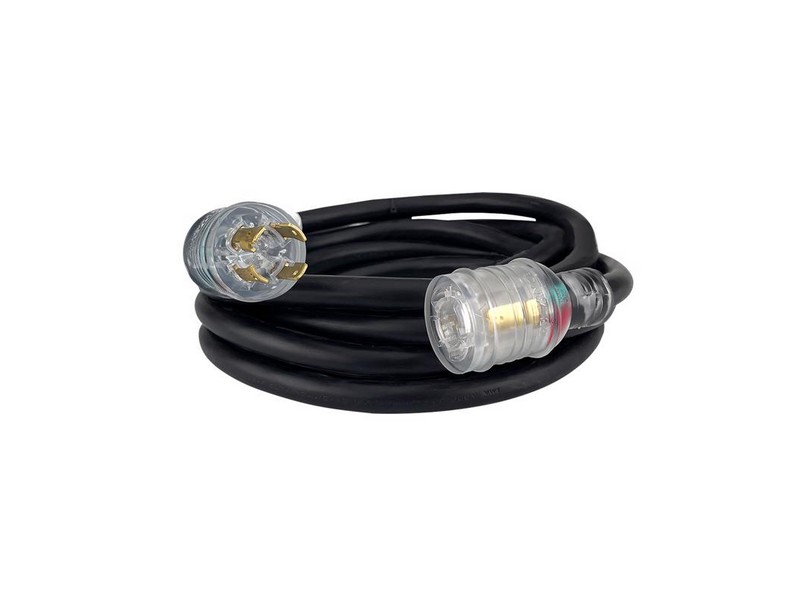 Reliance Controls 10/4 250 V 20 ft. L Generator Cord