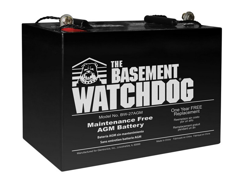 Basement Watchdog 9 in. H X 10-1/4 in. W X 6-1/2 in. L Maintenance Free Battery