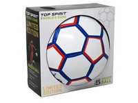 Soccer Ball #5
