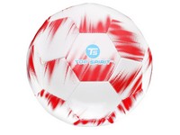 Soccer Ball #5