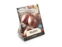 DeGroot Platinum Performers Shallots Plant 8 pk