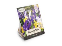 DeGroot Platinum Performers Dutch Iris Mix Bulb 25 pk