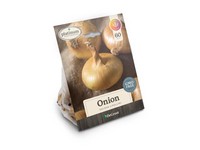 DeGroot Platinum Performers Onion Golden Cipollini Plant 60 pk