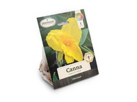 DeGroot Platinum Performers Canna Bulb 1 pk