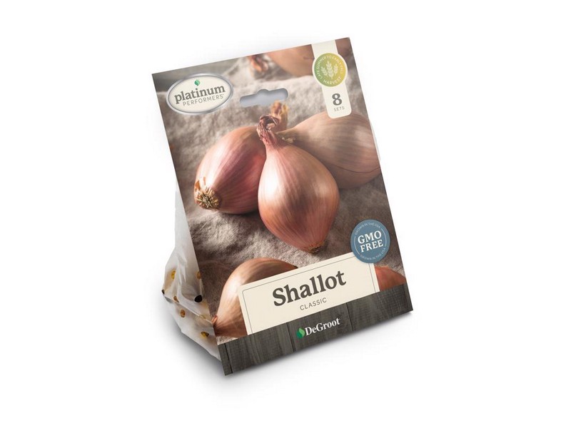 DeGroot Platinum Performers Shallots Plant 8 pk