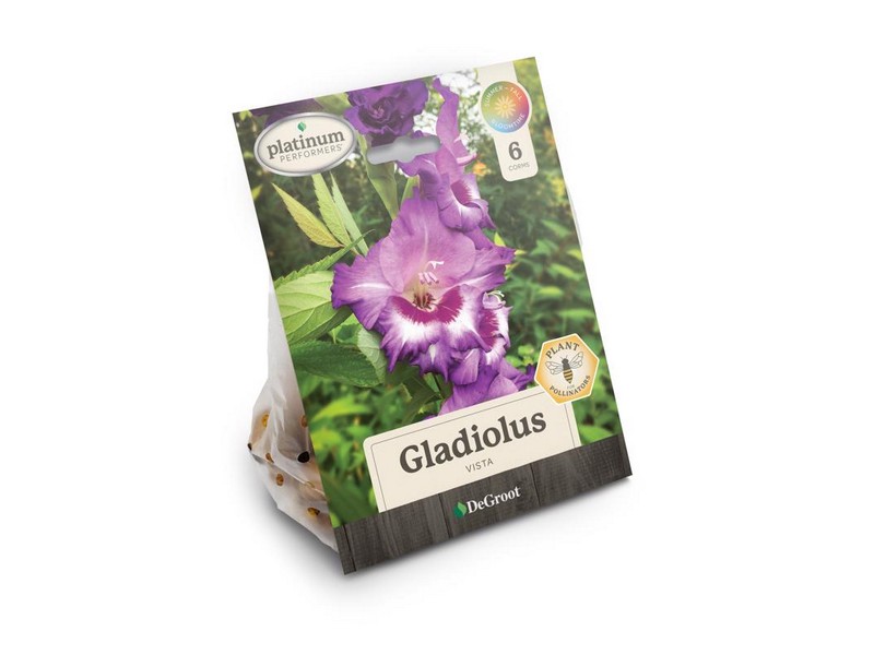 DeGroot Platinum Performers Mixed Gladiolus Plant 6 pk