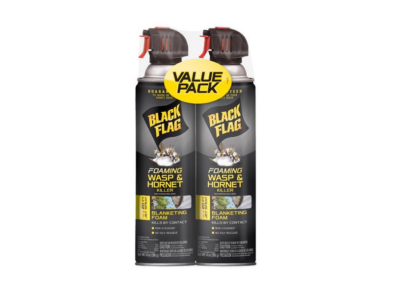 Black Flag Wasp and Hornet Killer Foam 14 oz