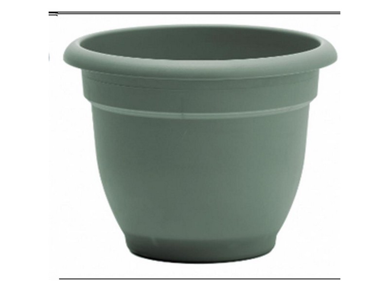 Bloem Ariana 7 in. H X 8 in. D Plastic Planter Living Green