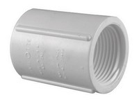 Charlotte Pipe Schedule 40 3/4 in. FPT  T X 3/4 in. D FPT  PVC Coupling