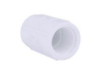 Charlotte Pipe Schedule 40 1/2 in. FPT  T X 1/2 in. D FPT  PVC Coupling