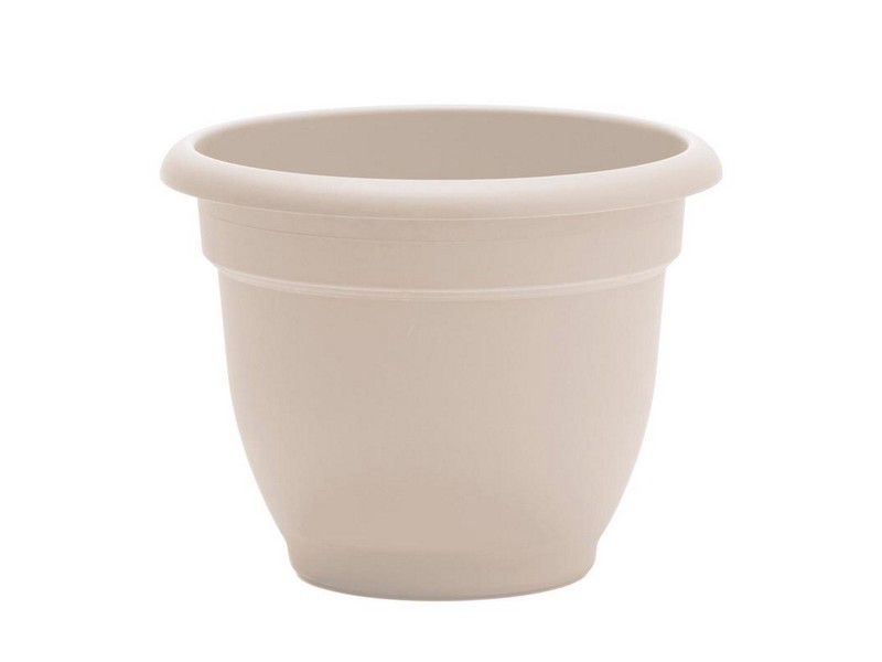 Bloem Ariana 8.5 in. H X 11 in. W X 10 in. D Plastic Traditional Planter