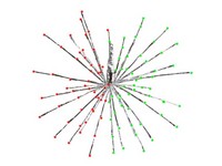 Celebration LED Green/Red 3 in1 Radiant Blast 16 in. Pathway Decor