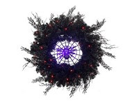 Celebrations Orange/Purple 53 ct 24 in. LED Prelit Black Spider Wreath