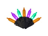 Celebrations Multicolored 100 ct LED Halloween String Lights