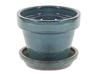 Border Concepts 5.5 in. H X 7.25 in. D Ceramic Standard Pot with Attached