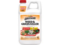 Spectracide Weed and Grass Killer Concentrate 64 oz