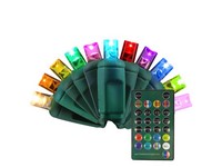 Celebrations Platinum LED Micro/5mm RGBW 50 ct String Lights w/Remote