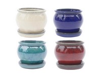 Border Concepts 4 in. D Ceramic Belly Planter Assorted