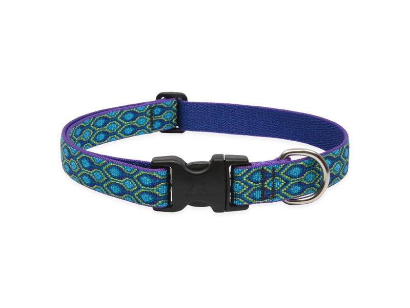 LupinePet Original Designs Multicolor Rain Song Nylon Dog Adjustable Collar