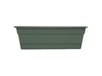 Bloem Dura Cotta 5.75 in. H X 24 in. W X 7.5 in. D Plastic Window Box Basil