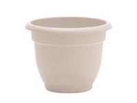 Bloem Ariana 5.25 in. H X 6.5 in. W X 6 in. D Plastic Traditional Planter