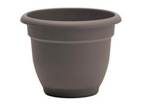 Bloem Ariana 7 in. H X 8.75 in. W X 8 in. D Plastic Traditional Planter