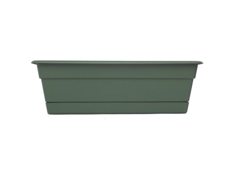 Bloem Dura Cotta 5.75 in. H X 24 in. W X 7.5 in. D Plastic Window Box Basil