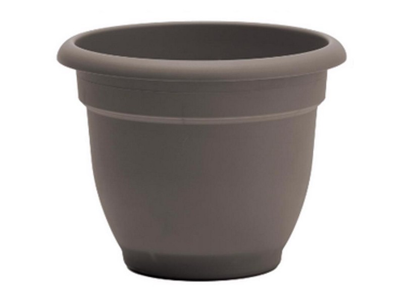 Bloem Ariana 7 in. H X 8.75 in. W X 8 in. D Plastic Traditional Planter