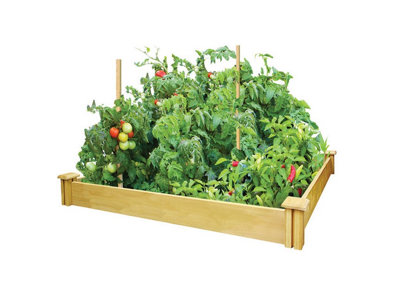 Greenes 5.5 in. H X 48 in. W Cedar Raised Bed Planter Brown
