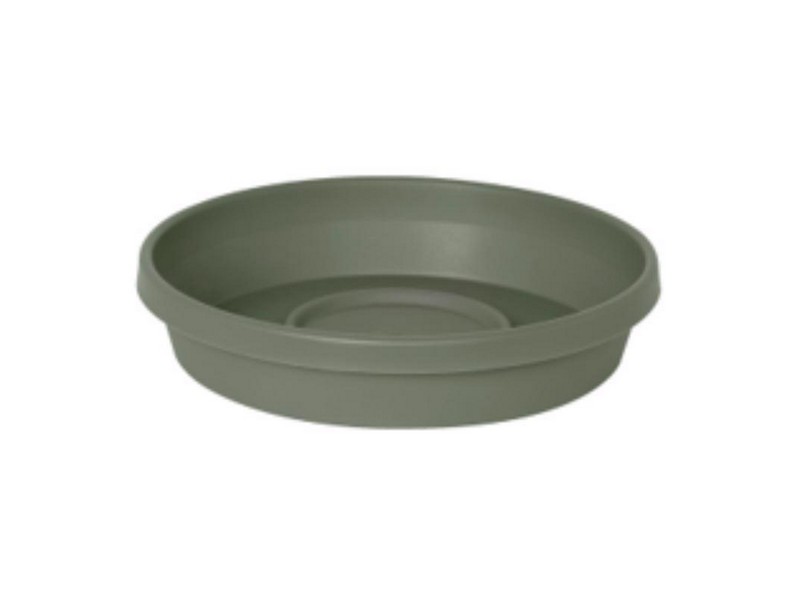 Bloem Terra 1.5 in. H X 7.5 in. W X 6.5 in. D Plastic Traditional Plant