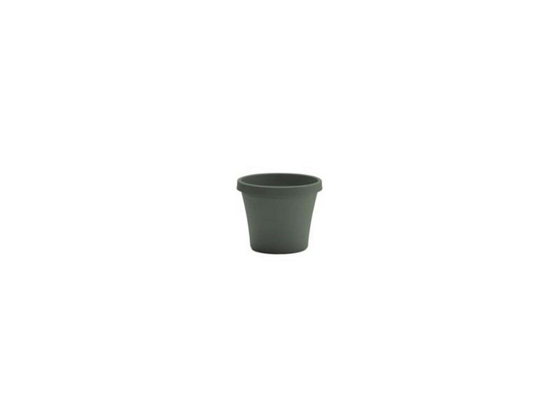Bloem Terra 7.25 in. H X 8.75 in. W X 6 in. D Plastic Traditional Planter