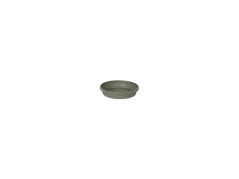 Bloem Terra 1.75 in. H X 9.25 in. W X 8 in. D Plastic Traditional Plant