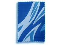 Led Lighted Camping Map