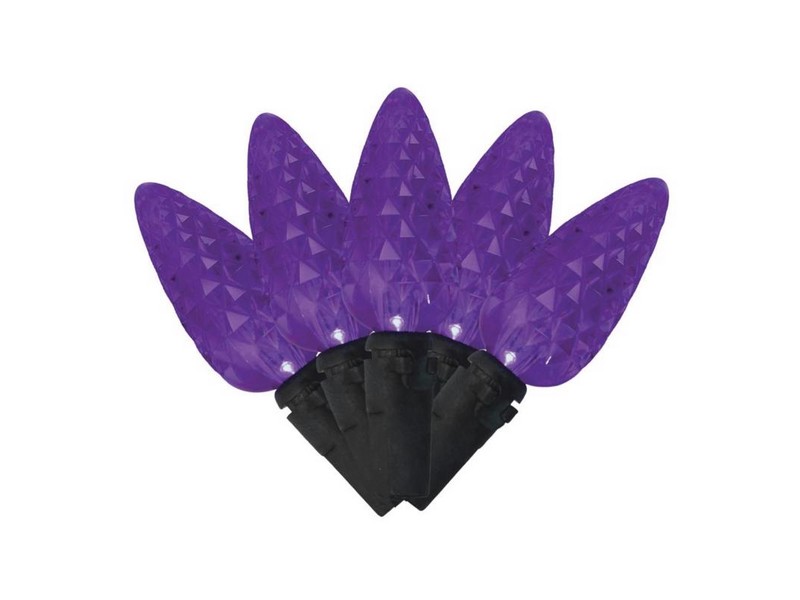 Celebrations Halloween Purple 100 ct LED Anti Flicker String Lights