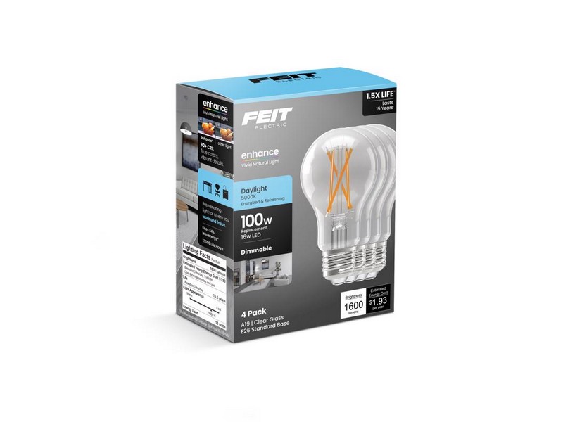 Ft Led  A19 Dl 100w 4pk 3011638