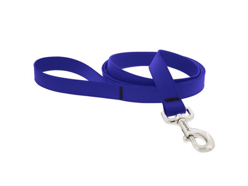 Leash 6' True Blu Nylon