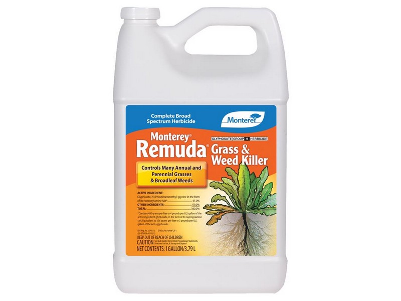 Wd/vgttn Klrs Cncntrt 1g 7133325