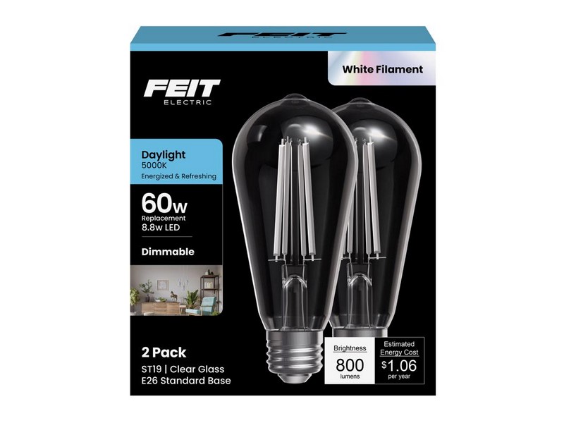 Ft Led St19 Dl 60w 2pk 3008685