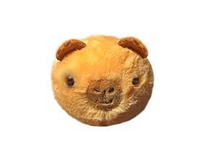 Ty Beanie Bounce Barry Capybara