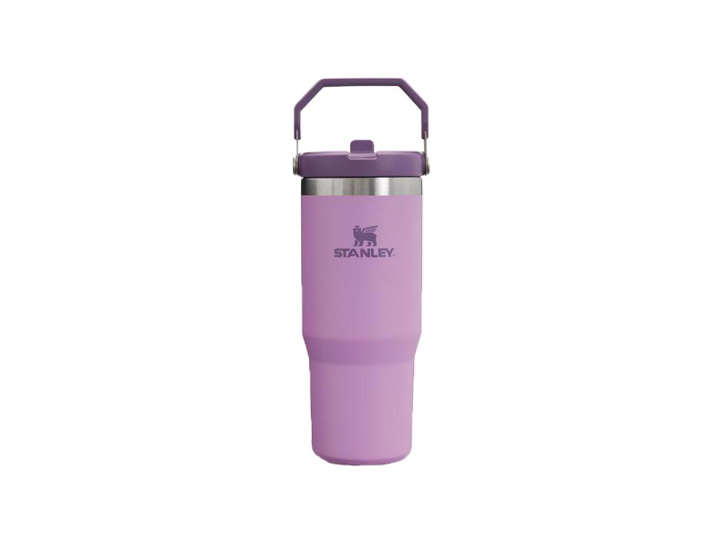 Stanley IceFlow 30 oz Lilac BPA Free Insulated Straw Tumbler