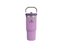 Stanley IceFlow 30 oz Lilac BPA Free Insulated Straw Tumbler