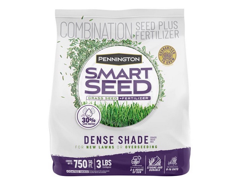 Pennington Smart Seed Mixed Full Shade Grass Seed and Fertilizer 3 lb