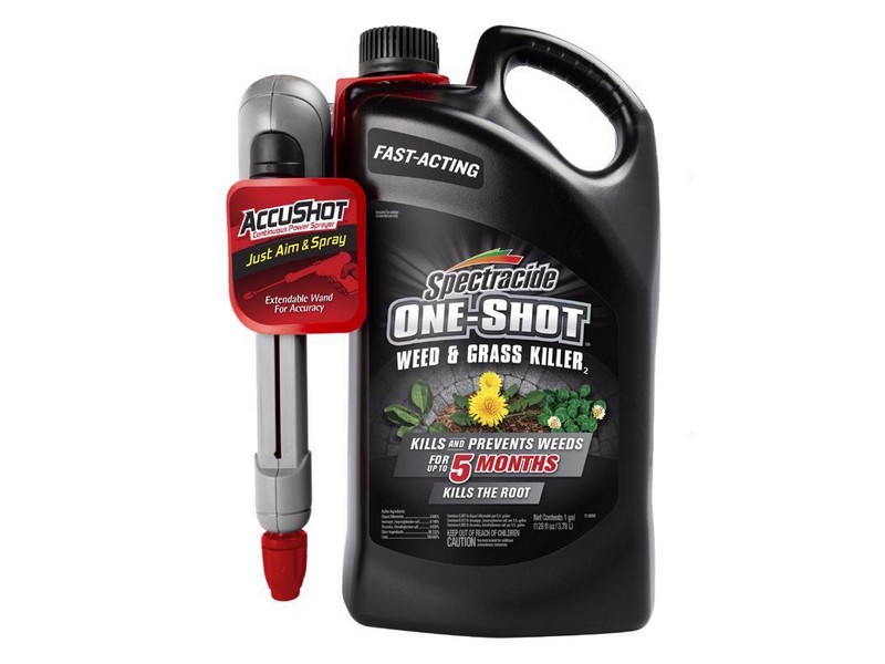 Wd/vgtn Klr On-sht 1gal