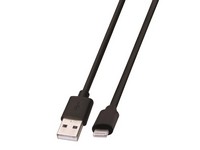 Crg/syn Cb Ltg/usb A 10'