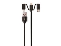 Chrg/sync Cbl Asrtmnt 3'