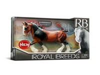 Royal Breeds Grand Champion Horse