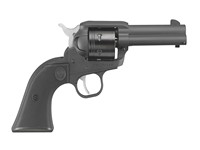 Ruger wrangler 22lr Revolver