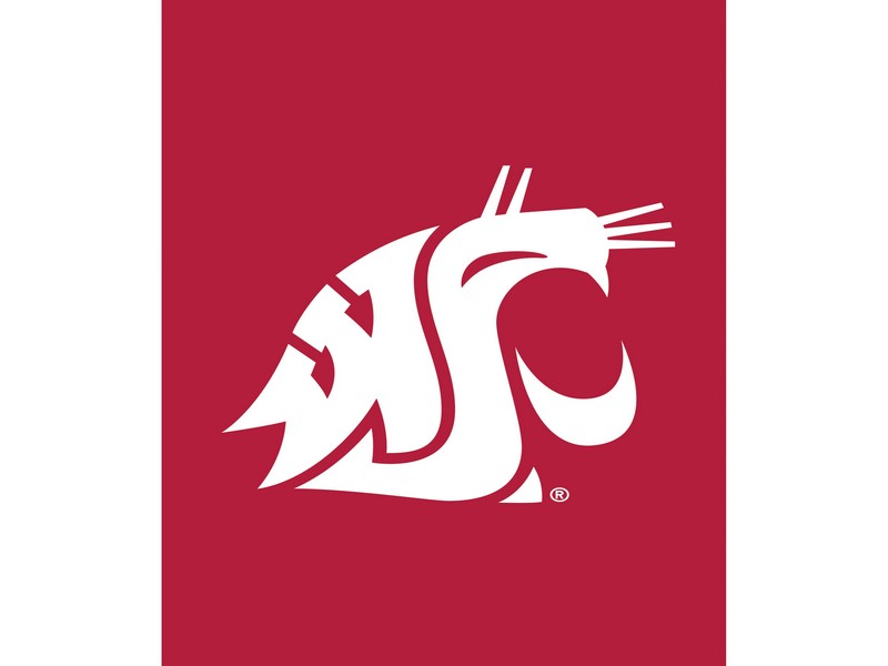 Evergreen WSU Applique Flag