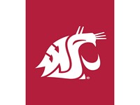 Evergreen WSU Applique Flag